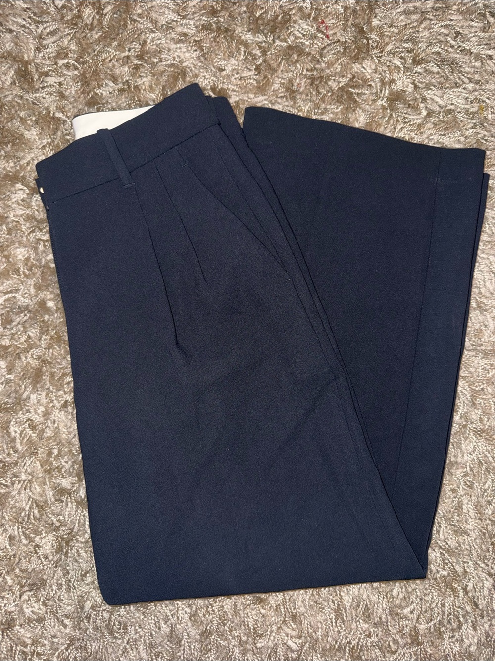 Aritzia Trousers